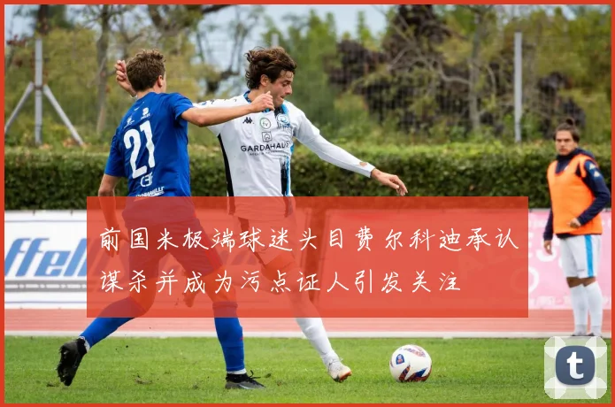 前国米极端球迷头目费尔科迪承认谋杀并成为污点证人引发关注